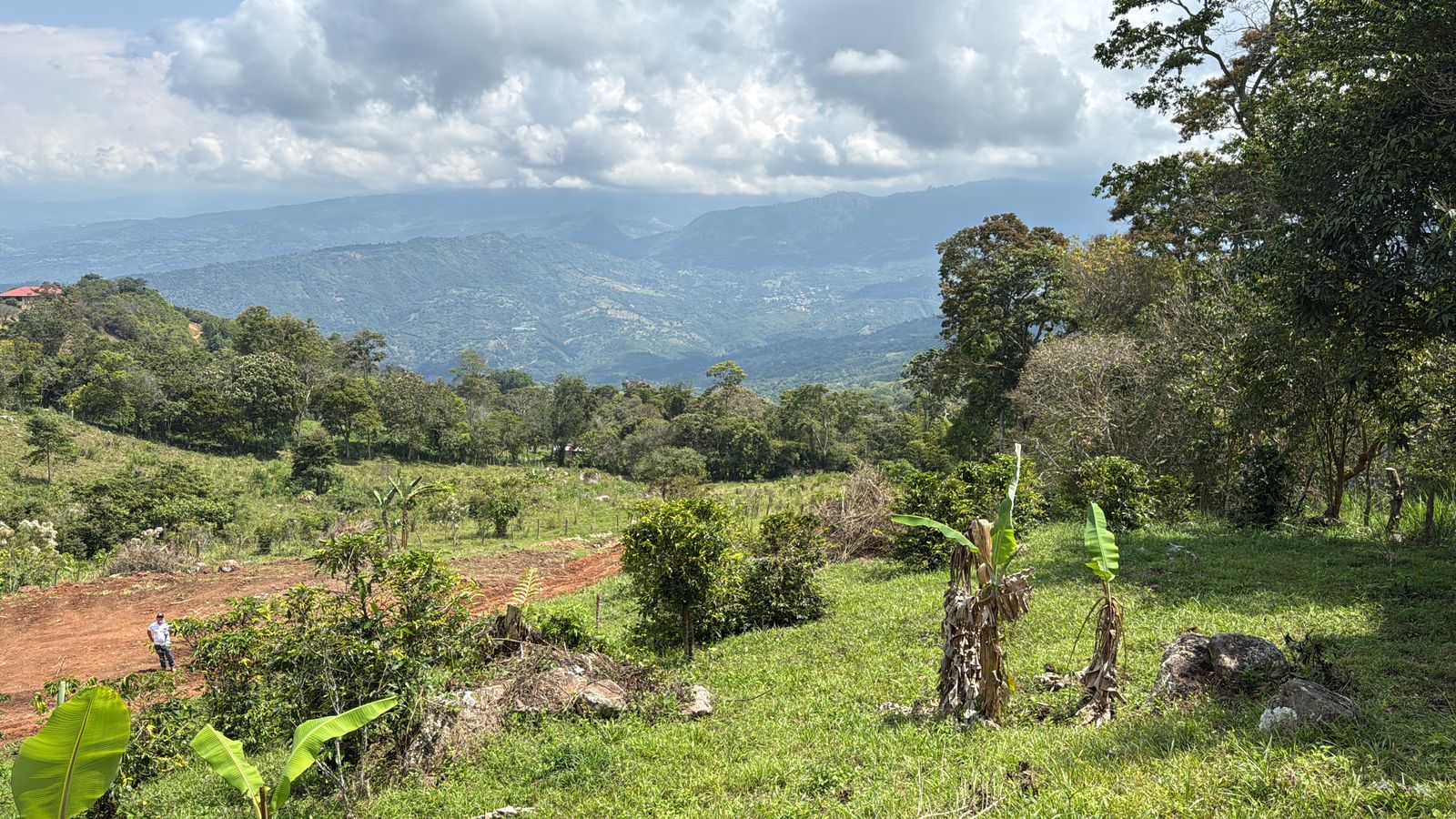 Vista panorámica del terreno del proyecto rodeado de vegetación y montañas