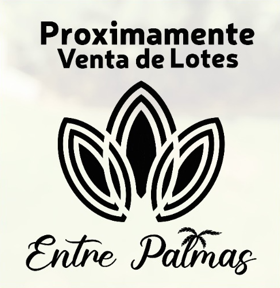 Entre Palmas